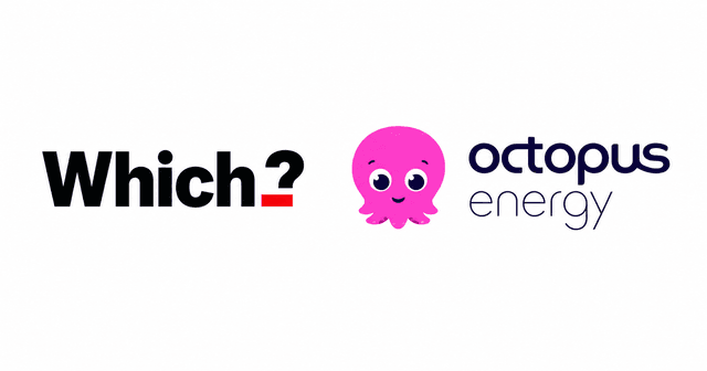 Where this guide disagrees with Which? on Octopus Energy